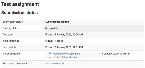 Submitted assessment screen