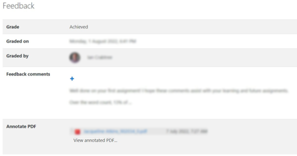 Feedback section in Moodle assignment