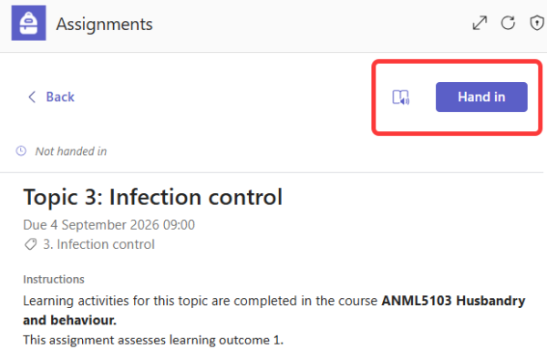 Hand in Teams assignment desktop view