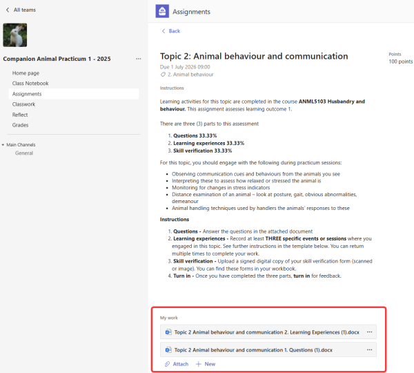 Teams assignment desktop view