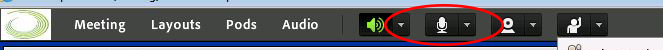 Microphone icon