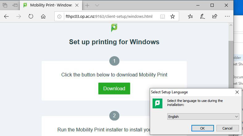 IT printing windows 2020 SS 2