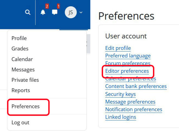 Editor preferences