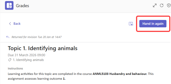 Hand in again desktop view