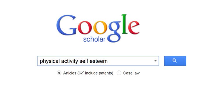 Lib GoogleScholar SS 1