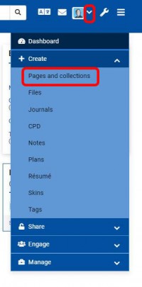 Pages and Collections menu