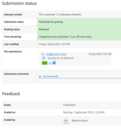 Submission status Turnitin
